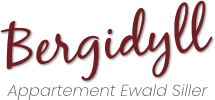 Bergidyll Logo